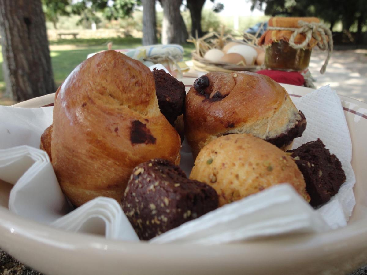 Cefalicchio B&B Canosa di Puglia Bagian luar foto