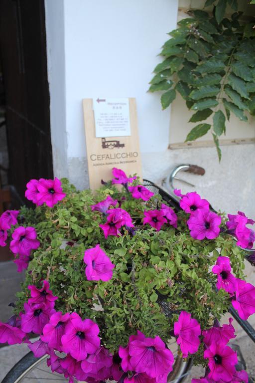 Cefalicchio B&B Canosa di Puglia Bagian luar foto