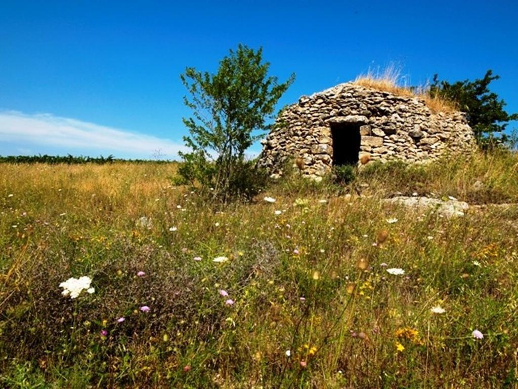 Cefalicchio B&B Canosa di Puglia Bagian luar foto