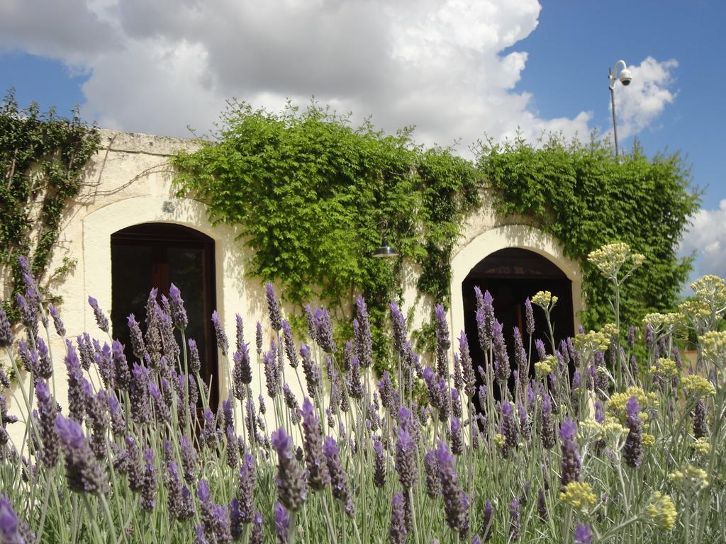 Cefalicchio B&B Canosa di Puglia Bagian luar foto